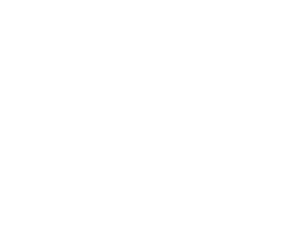 Champagne Vincent Couche